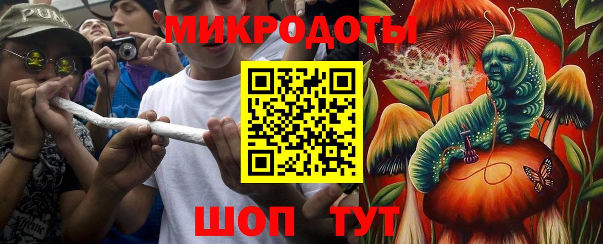 Горно-Алтайск  Галлюциногенные грибы Psilocybe  Вход с VPN 
